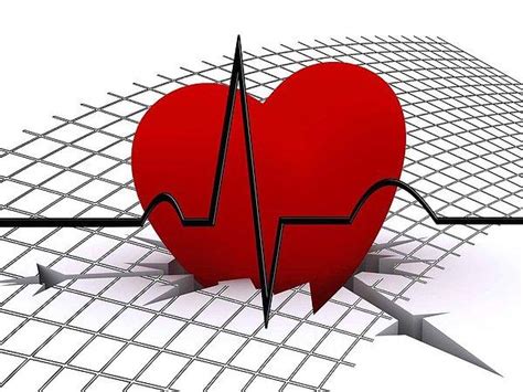 sağlık kalp karahindiba düşük nabız yüksek nabız